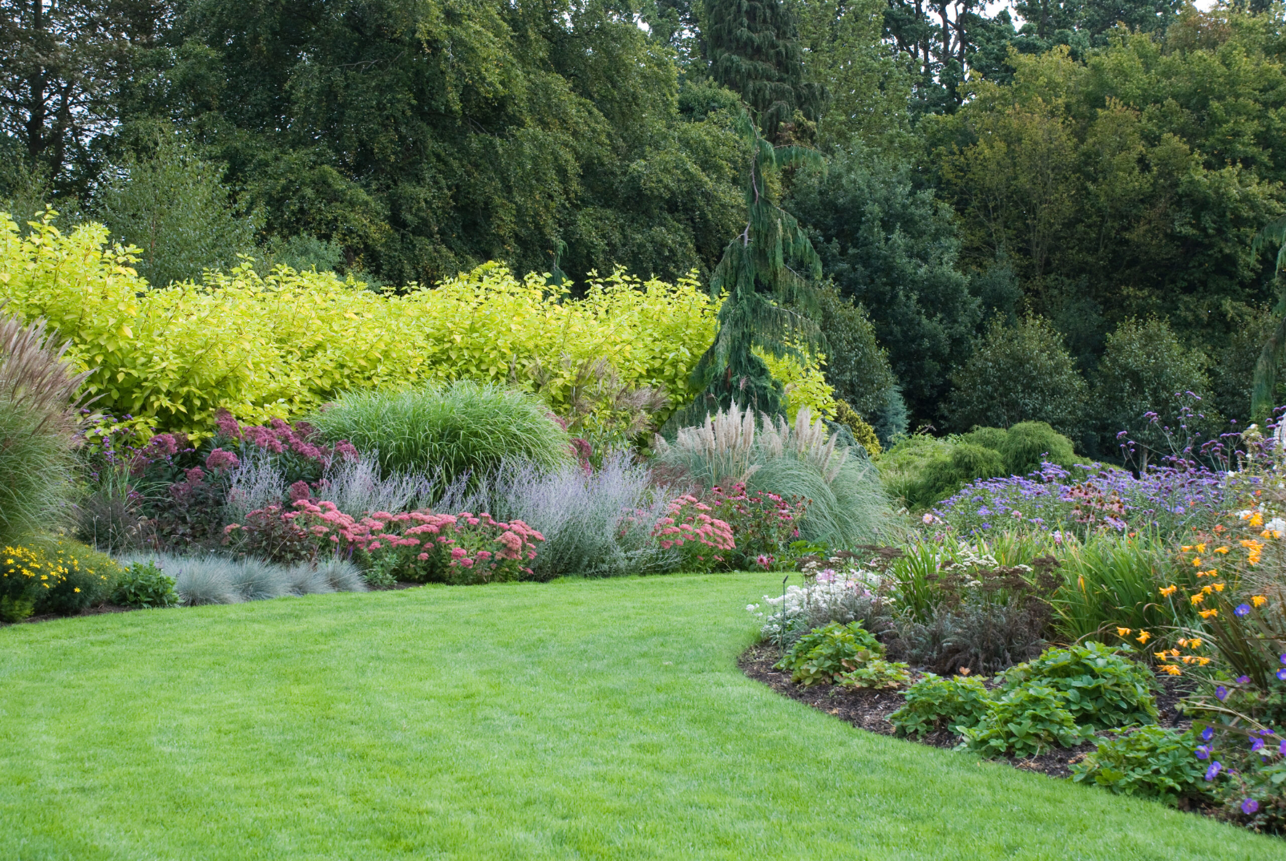 Blooming English garden general view, Norfolk UK September 2010