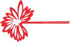 Assier logo light