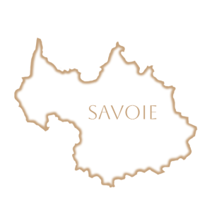 plan savoie png sans relief vide